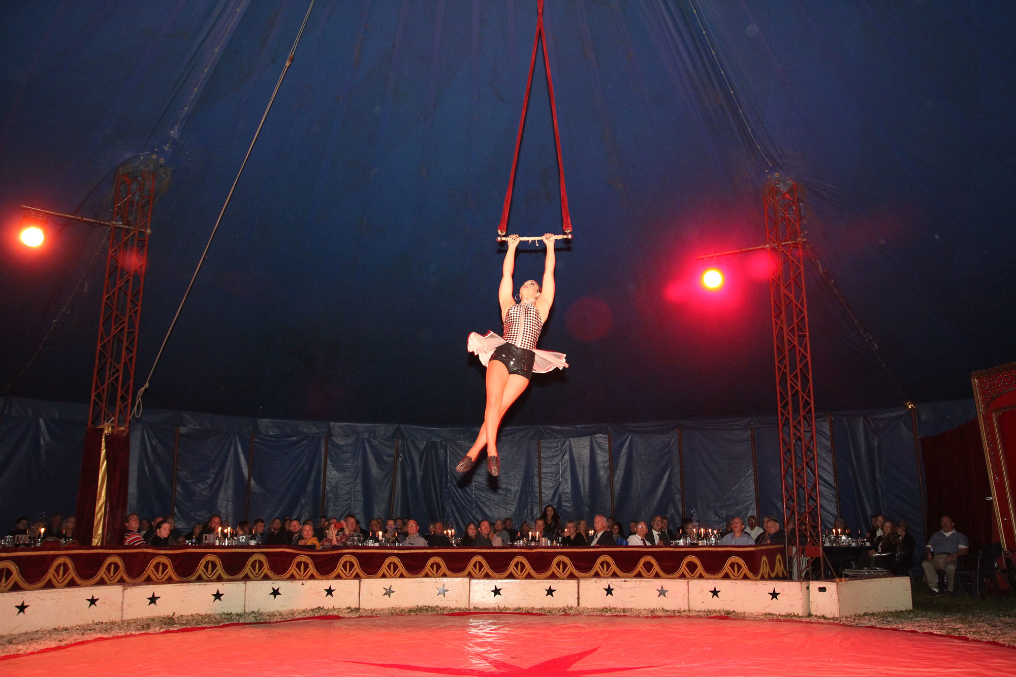 Scandi Byg fejrer 40-års jubilæum i cirkus