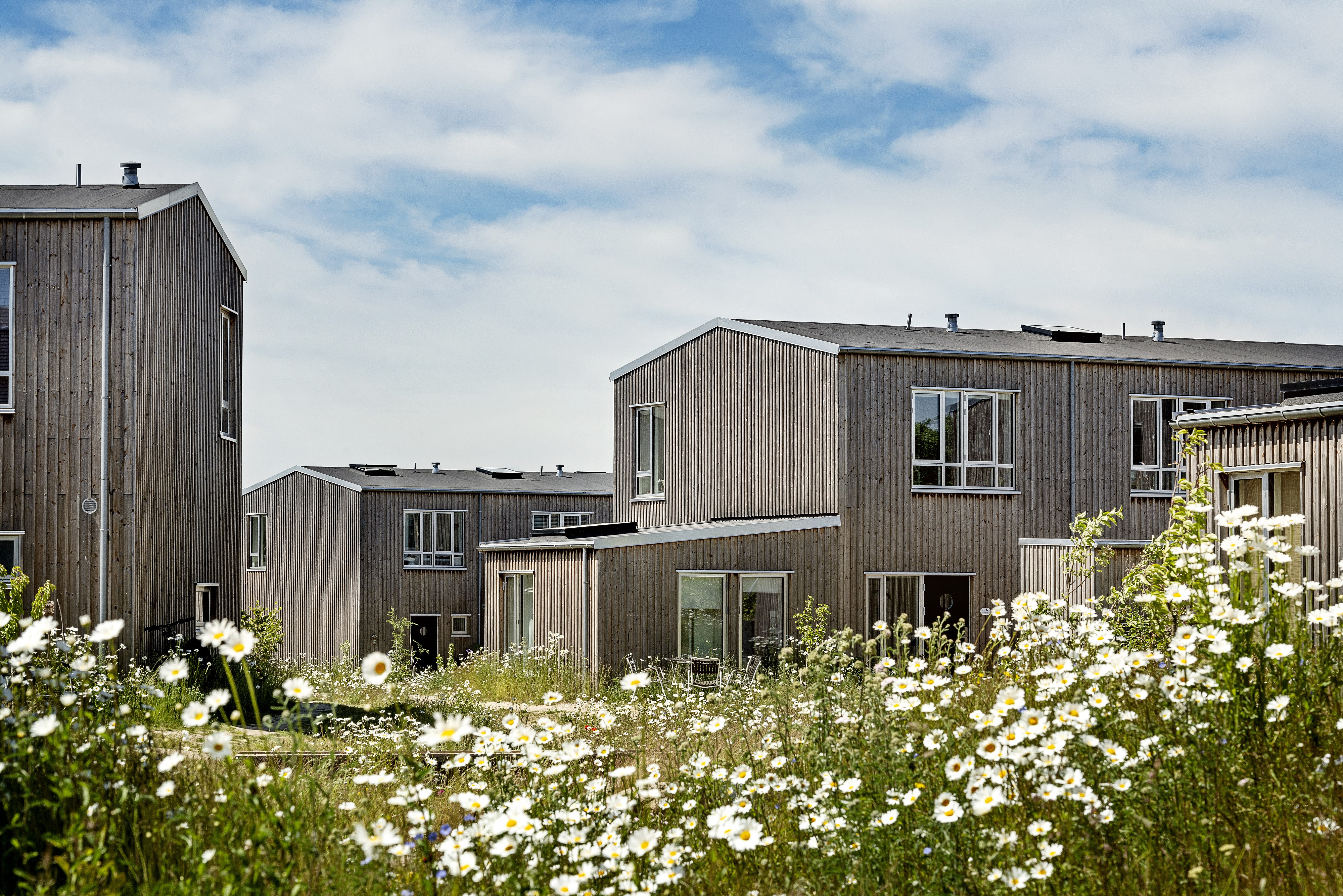 Forskning slår fast: Modulbyggeri i træ har lav klimapåvirkning